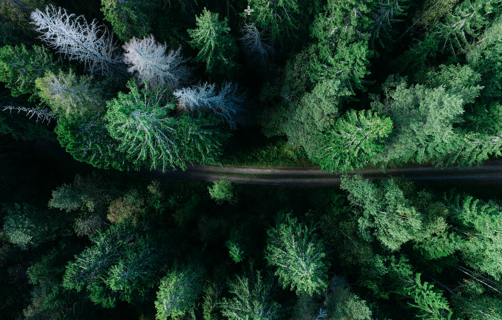 EKF unveils its 2022 ESG report: a step forward in sustainable excellence