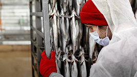 EKF Equipment Enhances Fish Drying Processes in the Samara Region